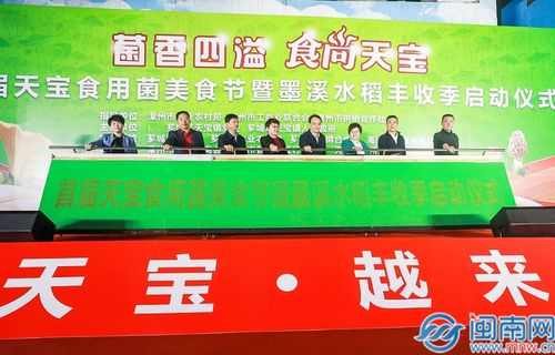 漳州芗城 菌香四溢 食尚天宝 首届天宝食用菌美食节暨墨溪水稻丰收季