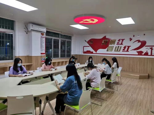 学习强国 中国新闻网 党史学习教育 闽南师范大学 在学史力行中 察实情 出实招 见实效