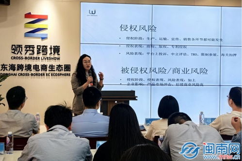 丰泽区举办专题交流会 政企共话海外知产保护新路径